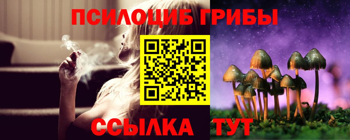 Майский  Галлюциногенные грибы Psilocybine cubensis  Вход с VPN 